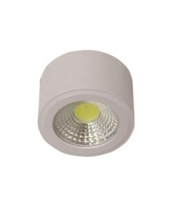 Đèn áp trần trang trí Duhal