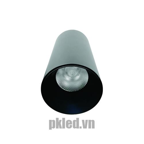 Đèn chiếu sâu gắn nổi trang trí 20W DIB1202 Duhal
