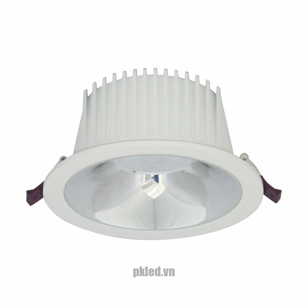 Đèn DOWNLIGHT CHIẾU SÂU 30W BFA0301 Duhal