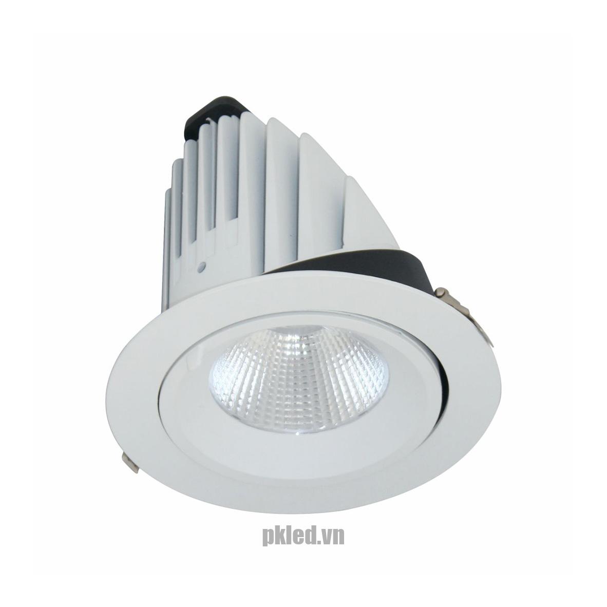 Đèn DOWNLIGHT CHIẾU SÂU 40W BIB0401 Duhal