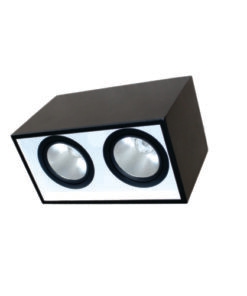 Đèn DOWNLIGHT GẮN NỔI CHIẾU SÂU 2x10W DFB2101 Duhal