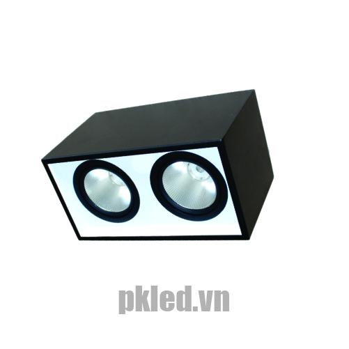 Đèn DOWNLIGHT GẮN NỔI CHIẾU SÂU 2x10W DFB2101 Duhal