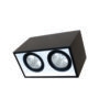 Đèn DOWNLIGHT GẮN NỔI CHIẾU SÂU 2x30W DFB2301 Duhal