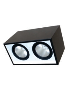 Đèn DOWNLIGHT GẮN NỔI CHIẾU SÂU 2x30W DFB2301 Duhal