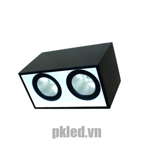 Đèn DOWNLIGHT GẮN NỔI CHIẾU SÂU 2x30W DFB2301 Duhal