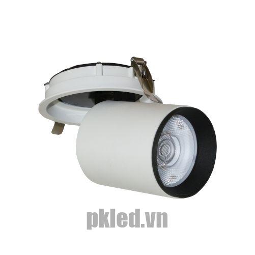 Đèn DOWNLIGHT CHIẾU ĐIỂM 30W DFC1303 Duhal