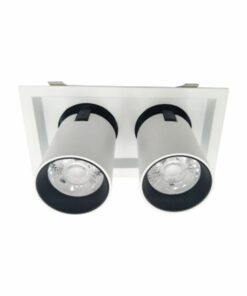 Đèn DOWNLIGHT CHIẾU ĐIỂM 2x15W DFC2152 Duhal