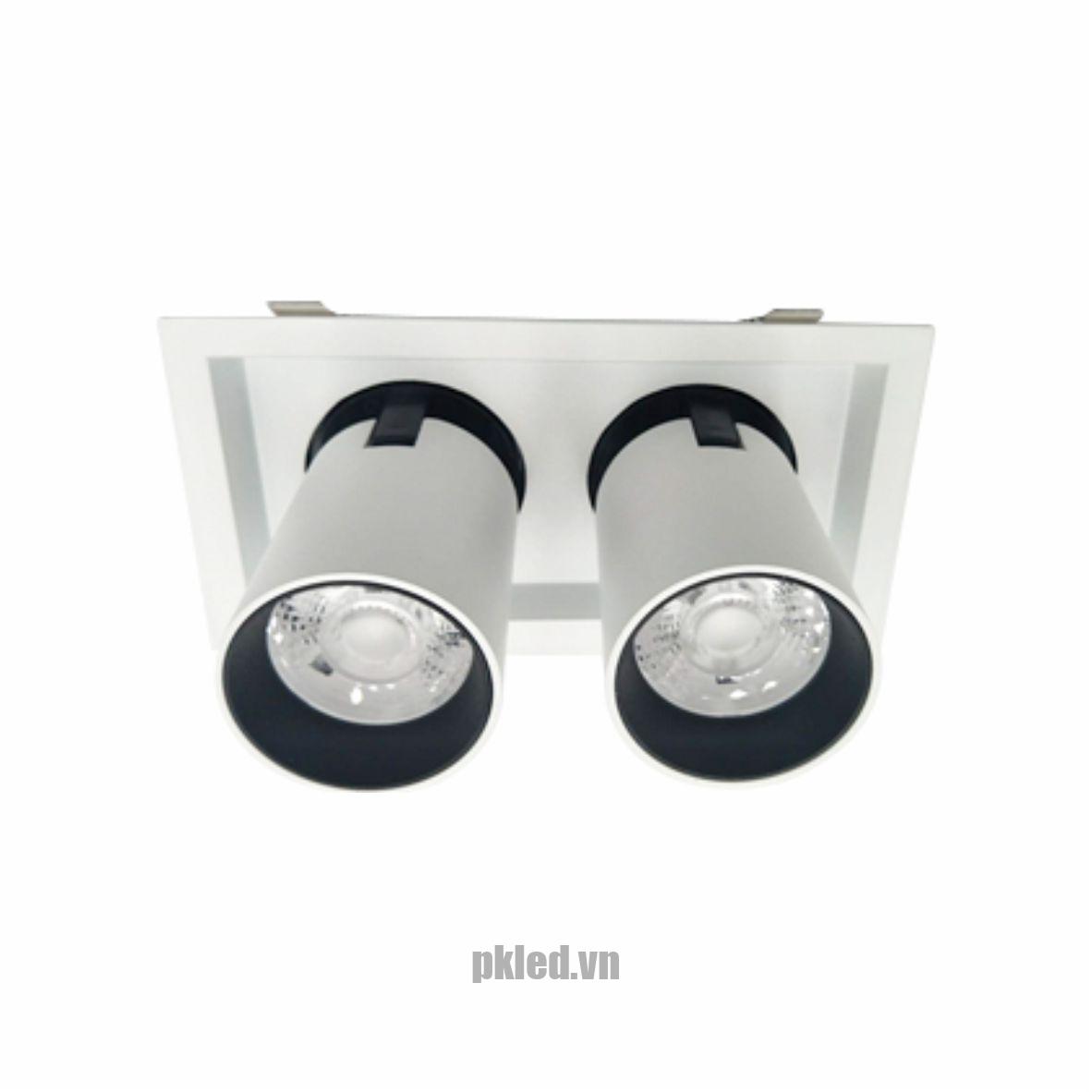 Đèn DOWNLIGHT CHIẾU ĐIỂM 2x15W DFC2152 Duhal