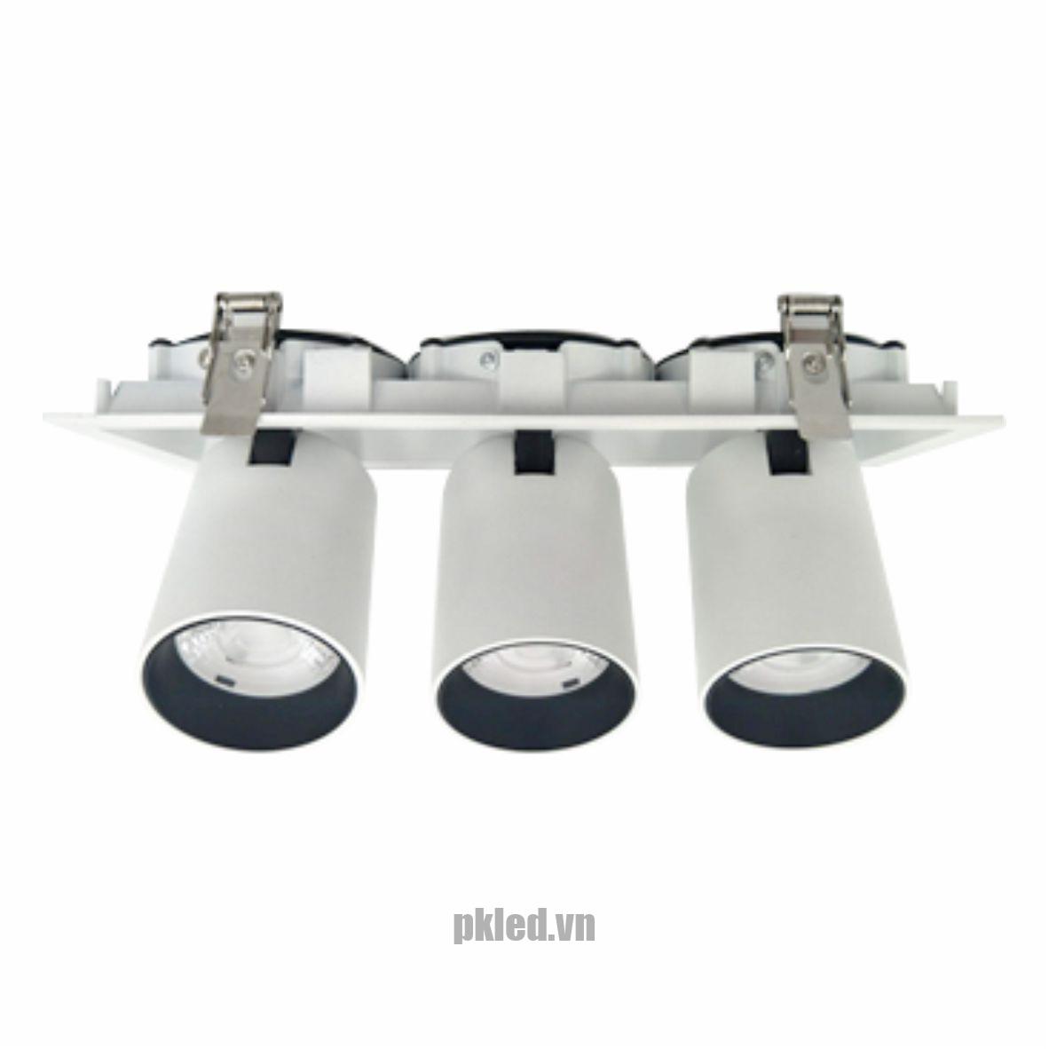 Đèn DOWNLIGHT CHIẾU ĐIỂM 3x30W DFC3302 Duhal