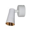Đèn led chiếu sâu Duhal