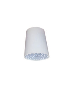 Đèn led chiếu sâu Duhal