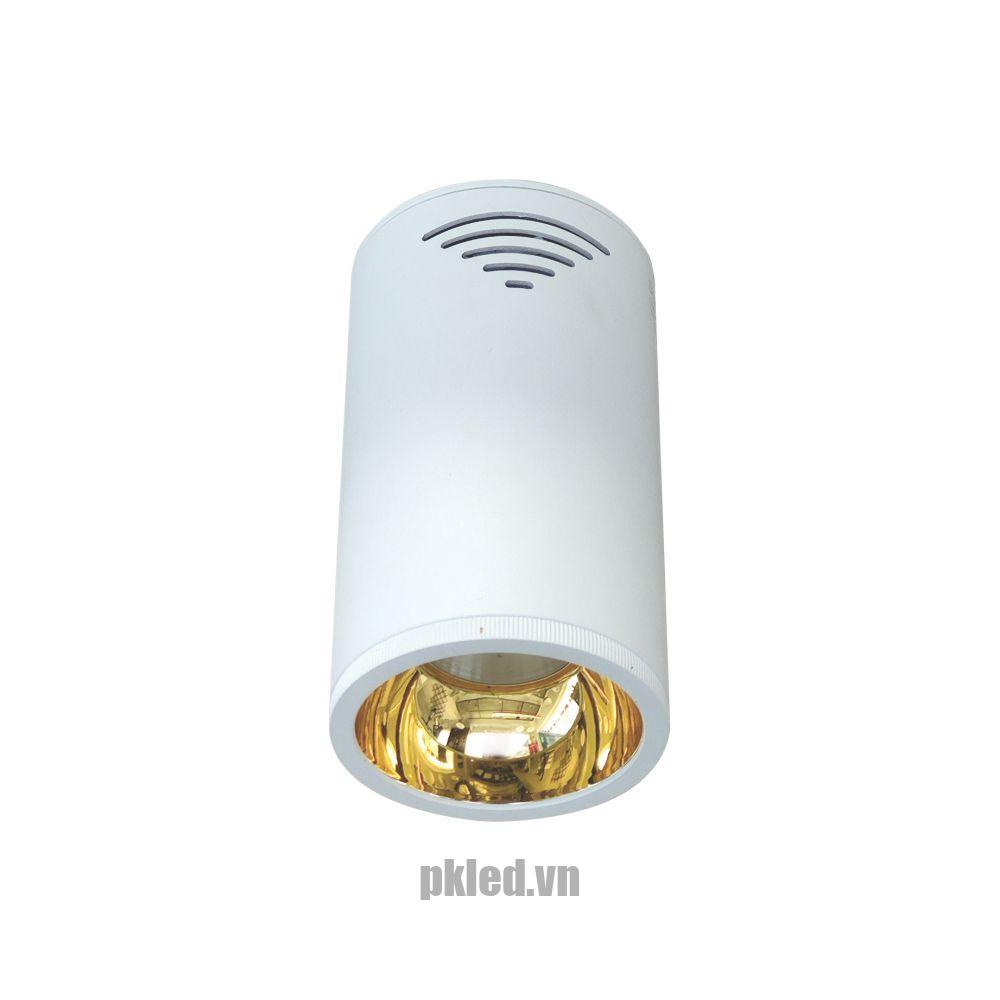 Đèn led chiếu sâu Duhal