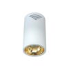 Đèn led chiếu sâu Duhal