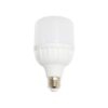 BÓNG LED TRỤ CÔNG SUẤT CAO 10W KLB0102 Duhal