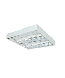 MÁNG ĐÈN PHẢN QUANG LẮP NỔI 2x9W (LDN6209) Duhal