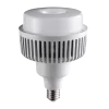 HBV-80T-1