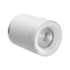 Đèn chiếu điểm gắn nổi 12W ánh sáng trắng SDL-12T MPE