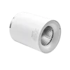 Đèn chiếu điểm gắn nổi 12W ánh sáng vàng SDL-12V MPE