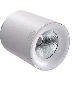 Đèn chiếu điểm gắn nổi 25W ánh sáng trắng SDL-25T MPE