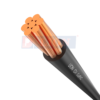 Cáp điện Lion mã CV 1 lõi