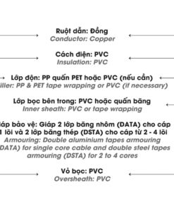 Cáp điện LION-CVV/DATA cáp hạ thế có giáp bảo vệ ruột Đồng