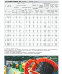 Trang 21 - Tài liệu kỹ thuật đây cáp điện lực CVV LION 2026 (DAPHACO)
