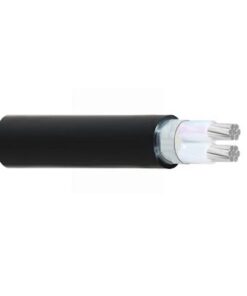 Hình ảnh cấu trúc cáp điện Cadivi nhôm mã AXV/DSTA 2 lõi