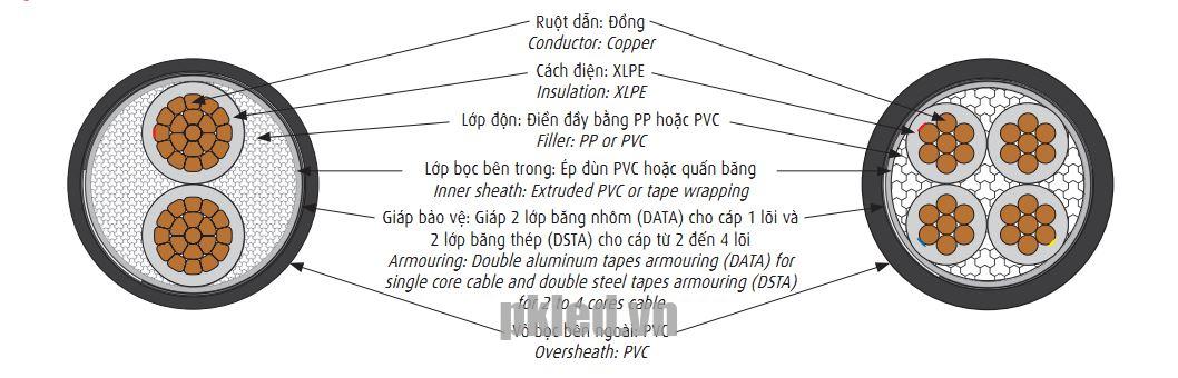 Hình ảnh mô phỏng cấu trúc lõi cáp Cadivi CXV/DATA