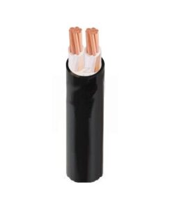 Hình ảnh mô phỏng cấu trúc lõi cáp Cadivi CXV 2 lõi