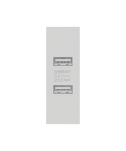 Ổ cắm 2 USB Saturn S size S màu trắng Duhal S1B004