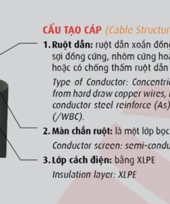 Hình cấu trúc dây cáp Cadivi AsXV