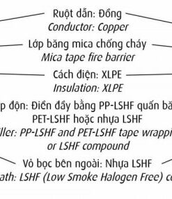 Hình cấu trúc dây cáp Cadivi CXE/FR