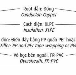 Hình cấu trúc dây cáp Cadivi CXV/FRT